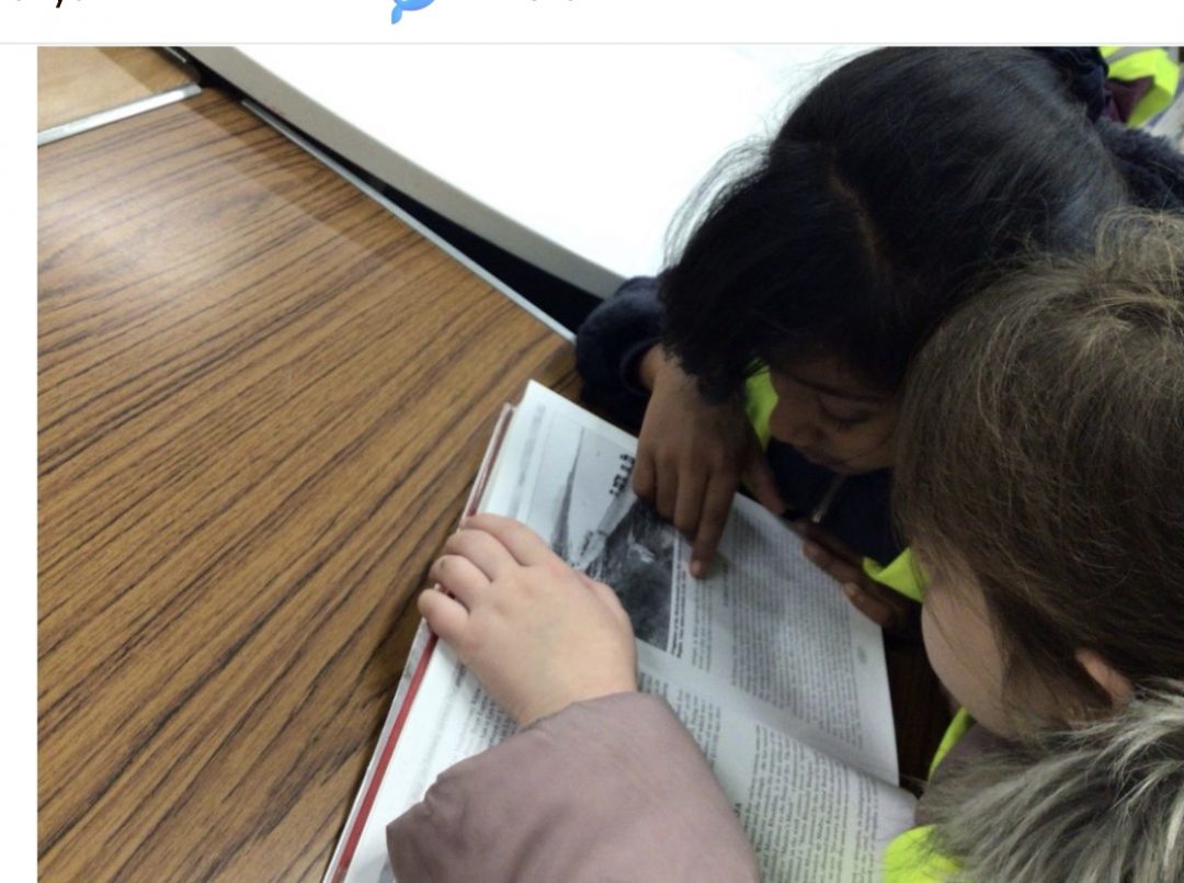 News and updates from the 5th week of Summer Term